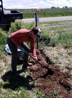 Aleksy in the field using a shovel to bury a soil moisture monitor.